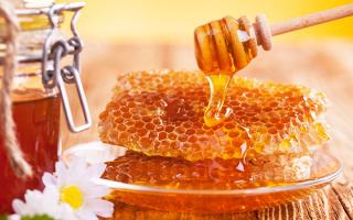 VII Криворізький міський фестиваль меду